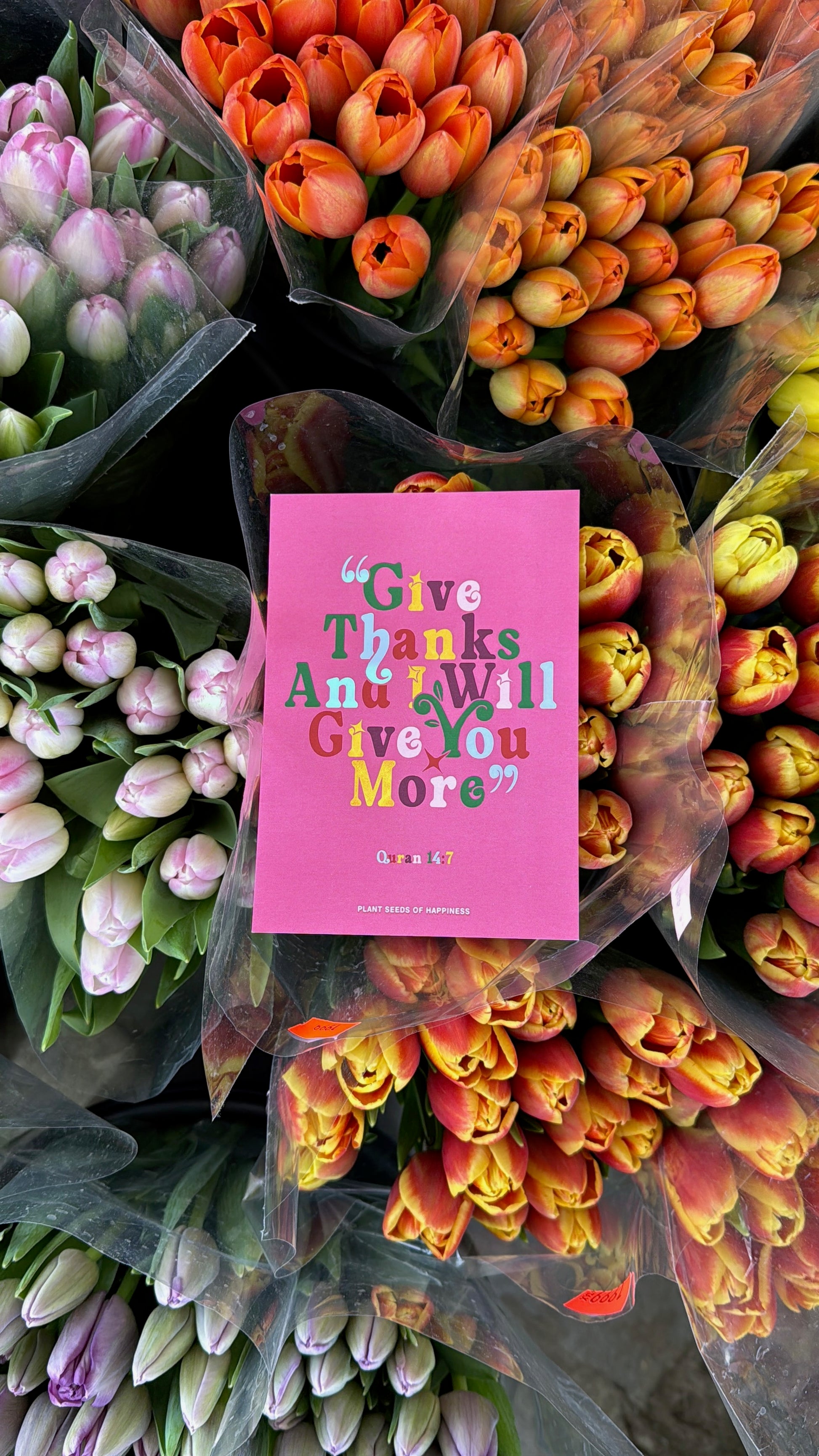 planting seeds of happiness Cards & Posters – Plant seeds of happiness